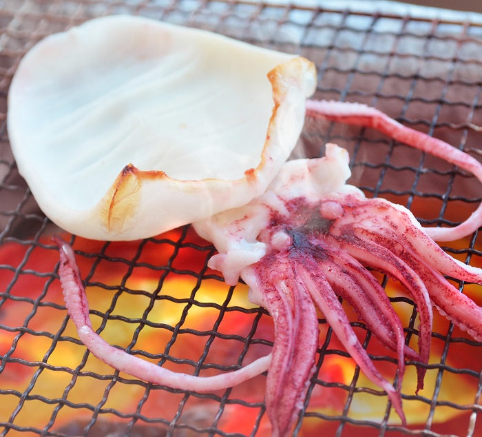 白いか一夜干しセット(110g前後×4枚)送料込