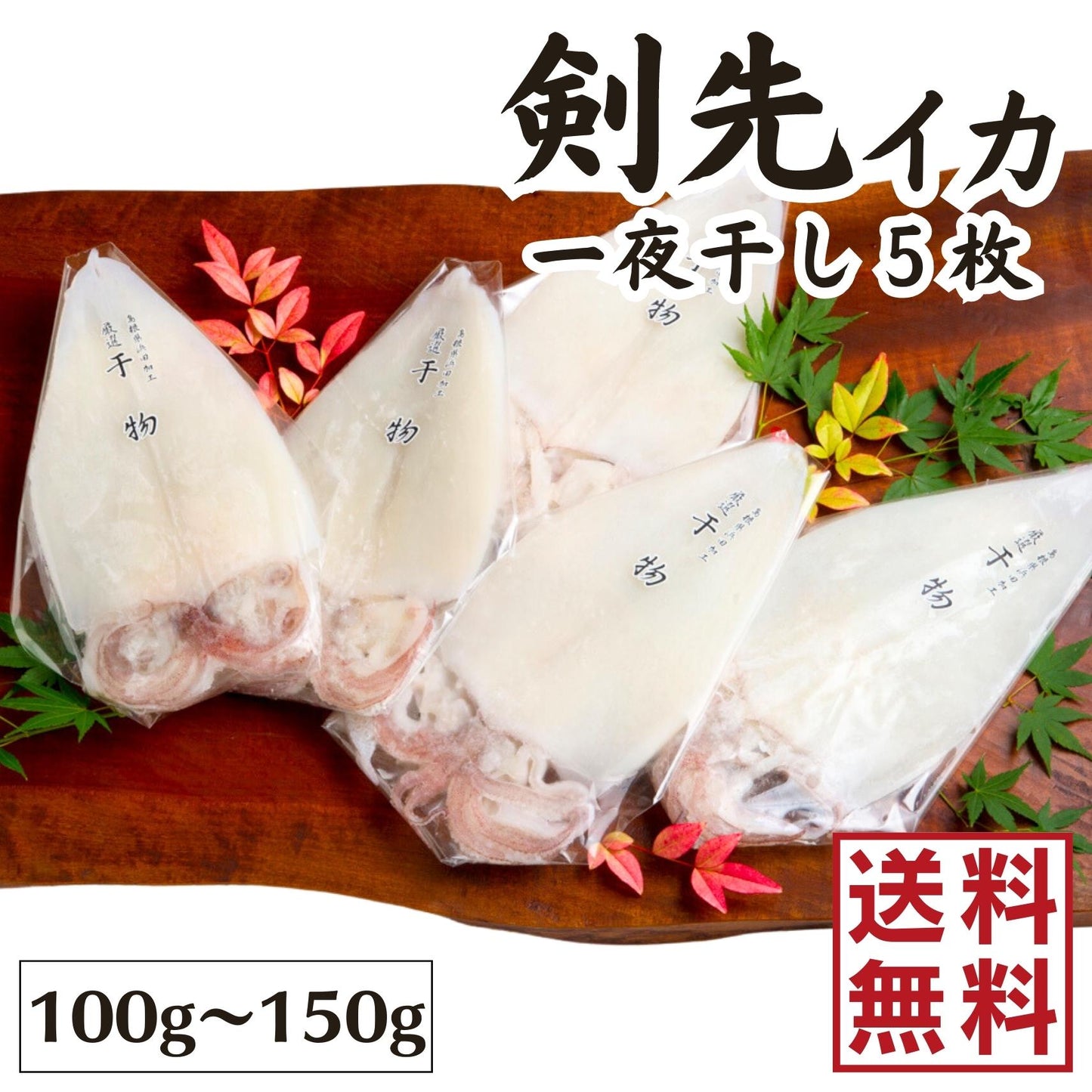 【送料無料】島根県産剣先イカ一夜干し 5枚セット