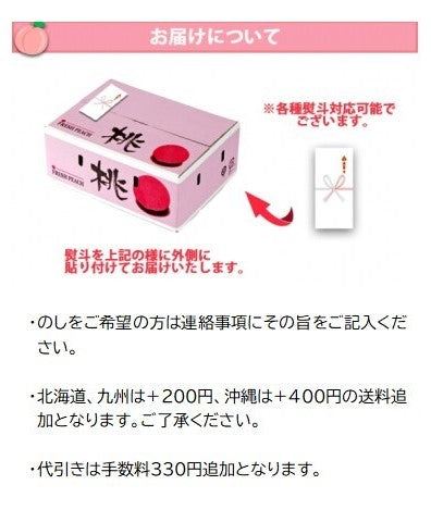 【販売期間外】【送料無料】川中島白桃(桃) ※山梨県産は8月上旬、長野県産は8月中旬(お盆明け)より順次発送※期日指定不可【お中元2025】【フルーツ】