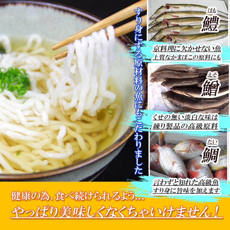 つゆ付き丸万魚うどん(10個セット)《隠れうどん県・宮崎の健康ご当地グルメ 》《日南》