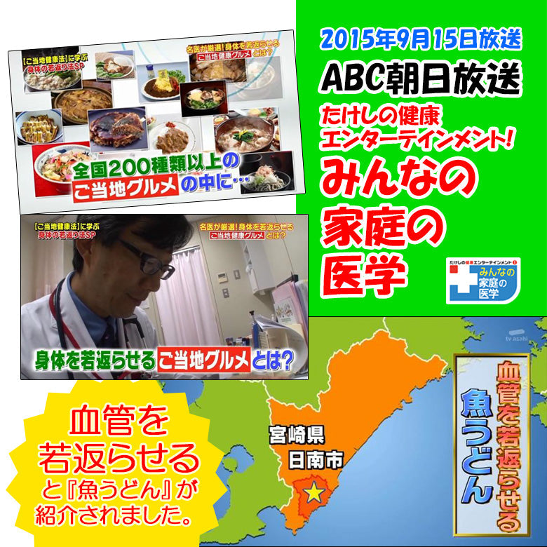 つゆ付き丸万魚うどん(10個セット)《隠れうどん県・宮崎の健康ご当地グルメ 》《日南》