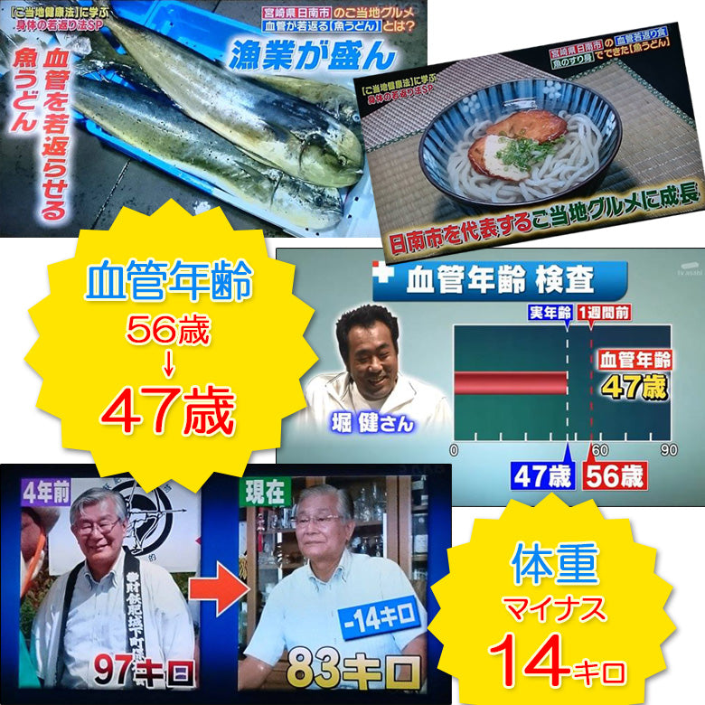 つゆ無し丸万魚うどん(20個セット)《隠れうどん県・宮崎の健康ご当地グルメ 》《日南》