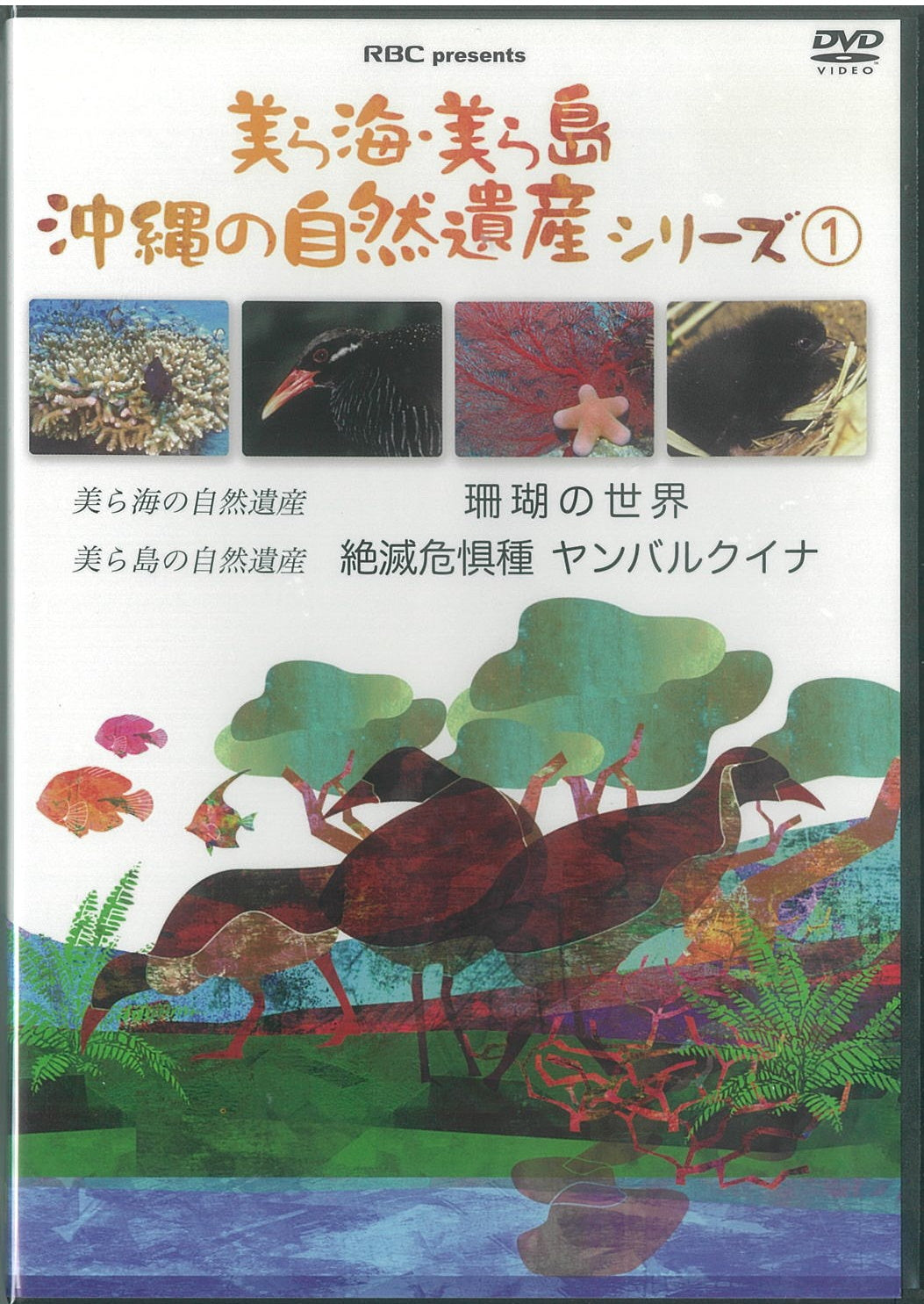 美ら海・美ら島沖縄の自然遺産シリーズ1（2枚組DVD）