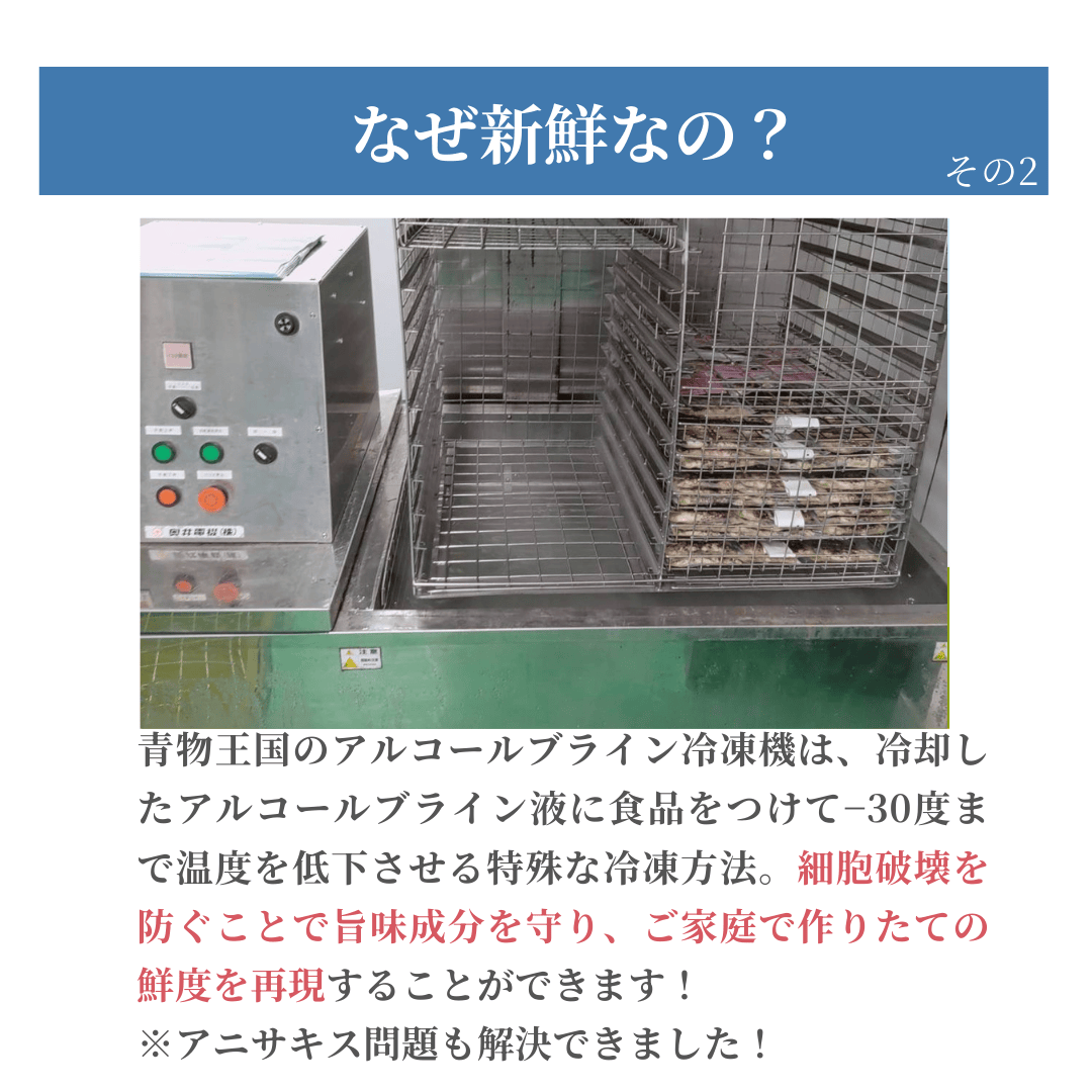 春うらら 豊後水道からの縁起魚6品