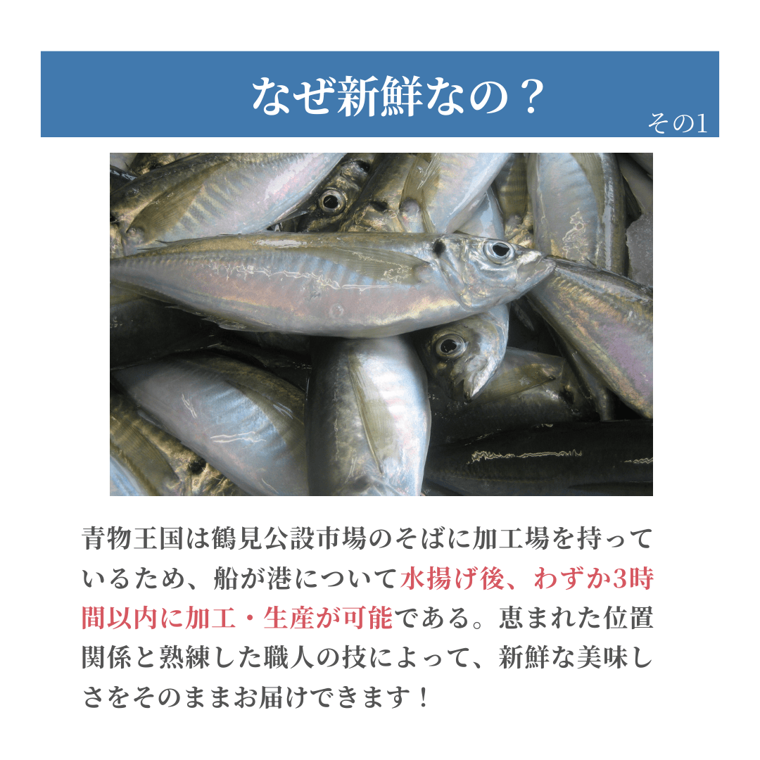 春うらら 豊後水道からの縁起魚6品