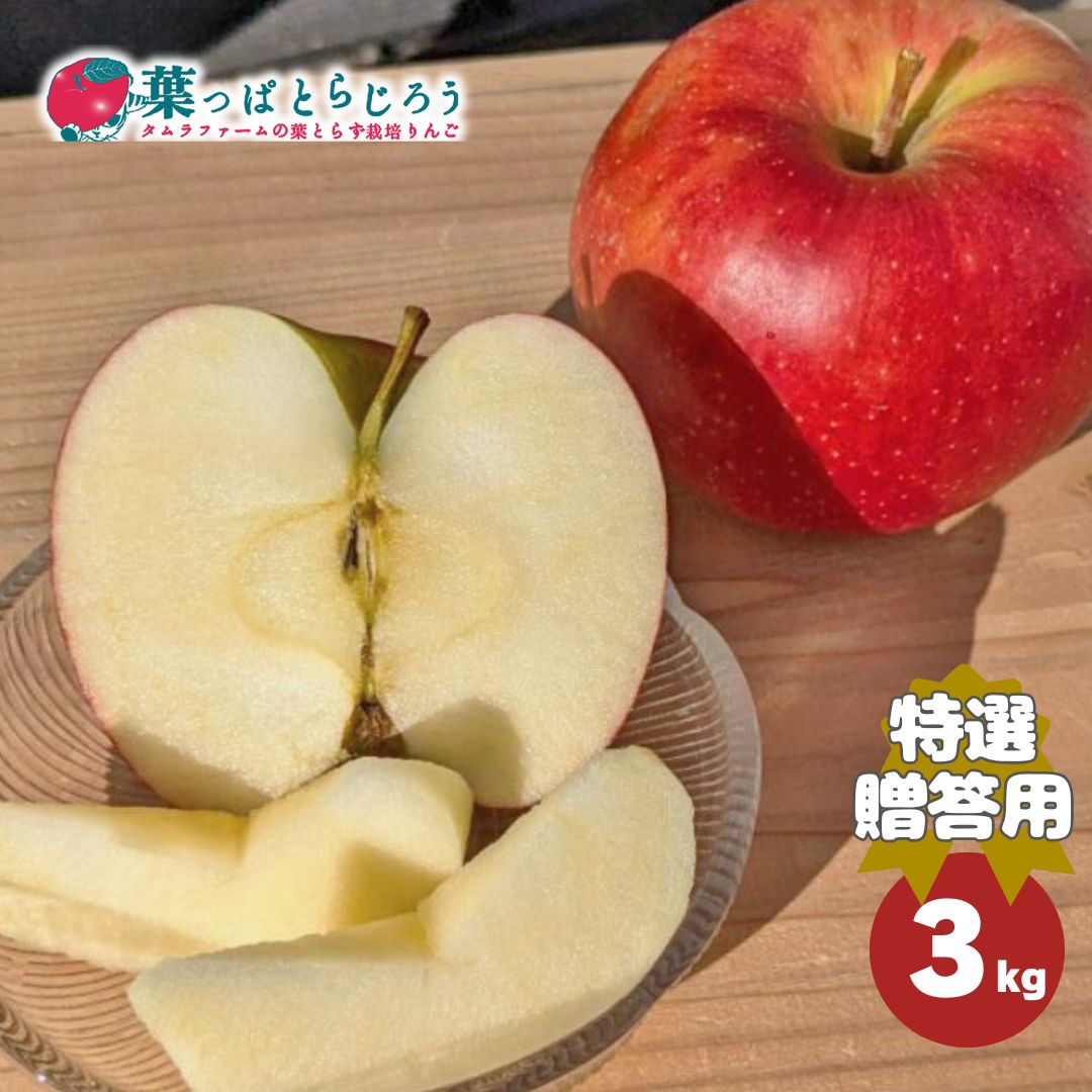 サンジョナゴールドりんご【送料込】【りんご】【青森県産】【葉っぱとらじろう】【期間限定】