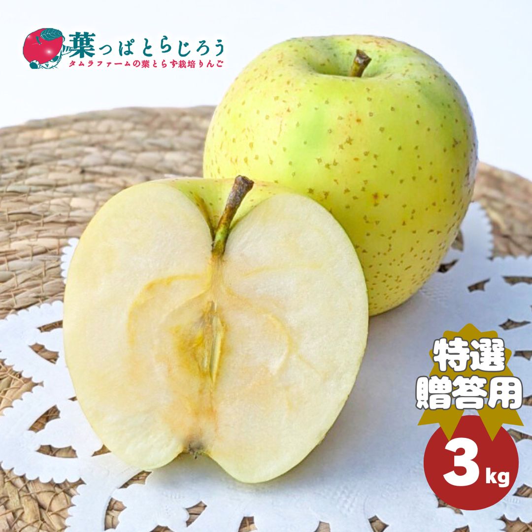 王林りんご【送料込】【12月上旬から】【りんご】【青森県産】【タムラファーム2025】【葉っぱとらじろう】【期間限定】