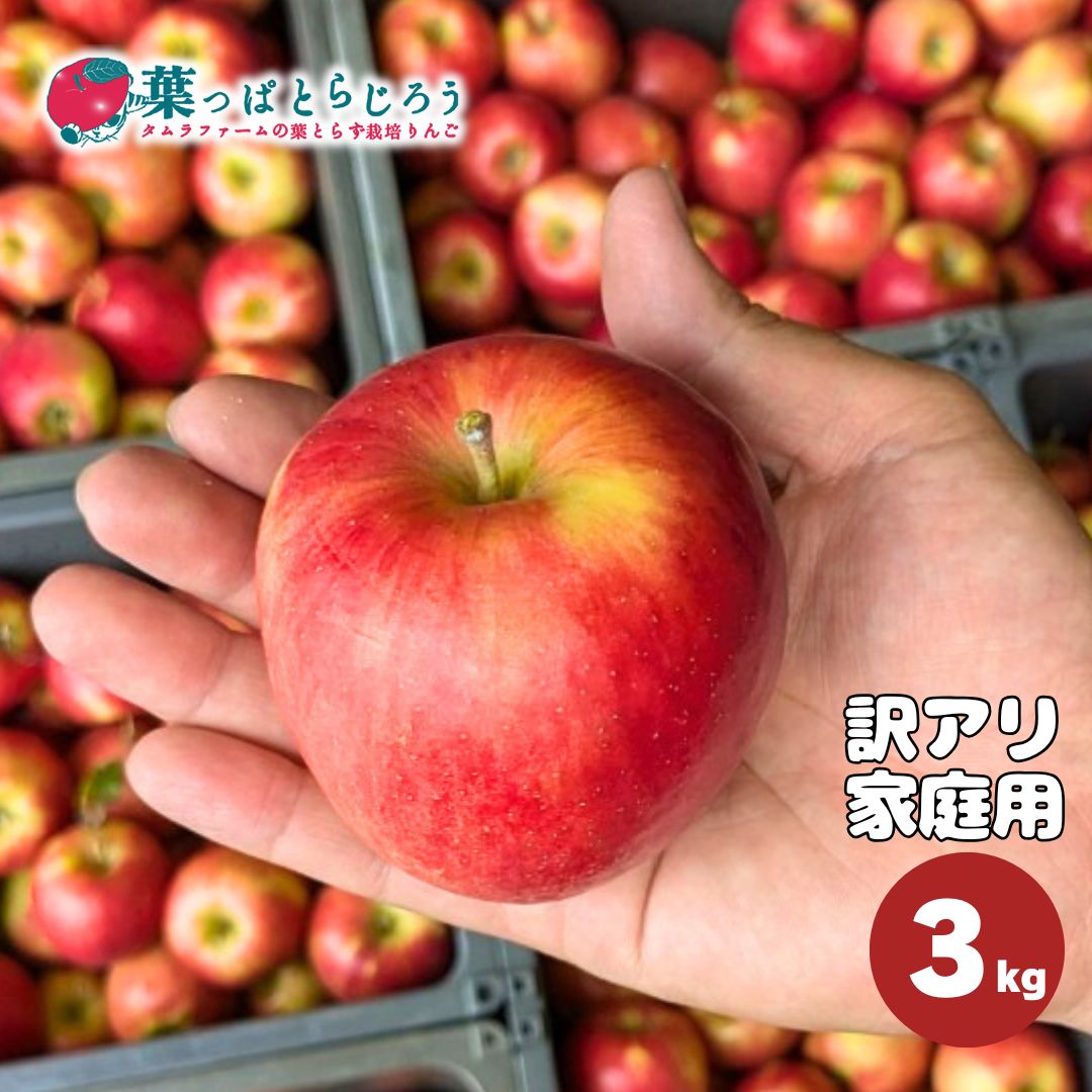 奥州ロマン【送料込】【りんご】【青森県産】【タムラファーム2025】【葉っぱとらじろう】【期間限定】