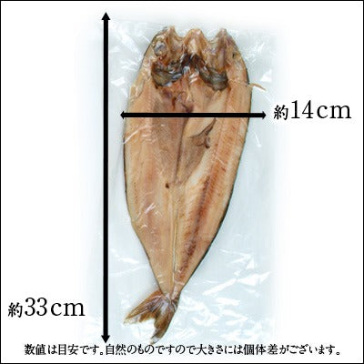 北海道 礼文島産 紅法華(べにほっけ) ほっけ開き 200-290g ふっくら柔らか昆布干物【島の人】【お取り寄せグルメ】