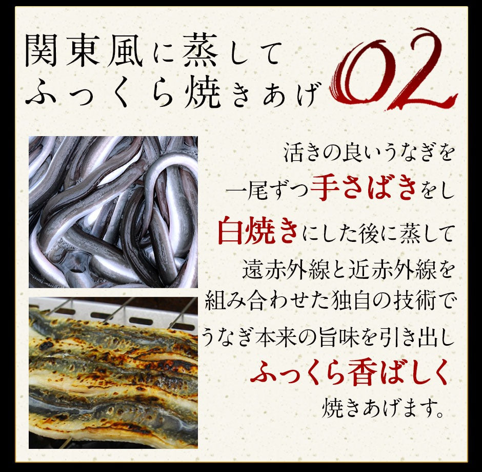 国産 うなぎ 蒲焼 ハーフサイズ 北海道 グルメ 食品 食べ物 カット 肉厚 鹿児島県産