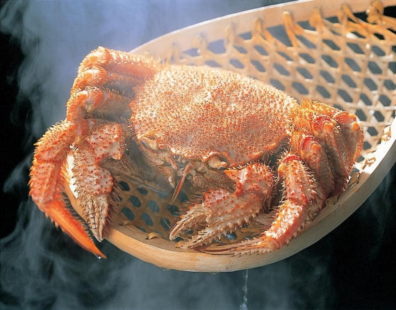 最もおいしい“毛ガニの極み”~オホーツクの流氷明け毛ガニ(450gx2尾)~ 【カニ・鮮魚・魚介類】