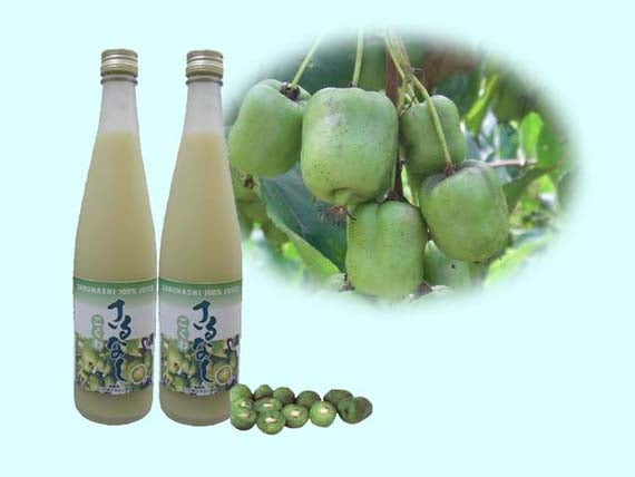 さるなし100%ジュース(520g) 3本セット