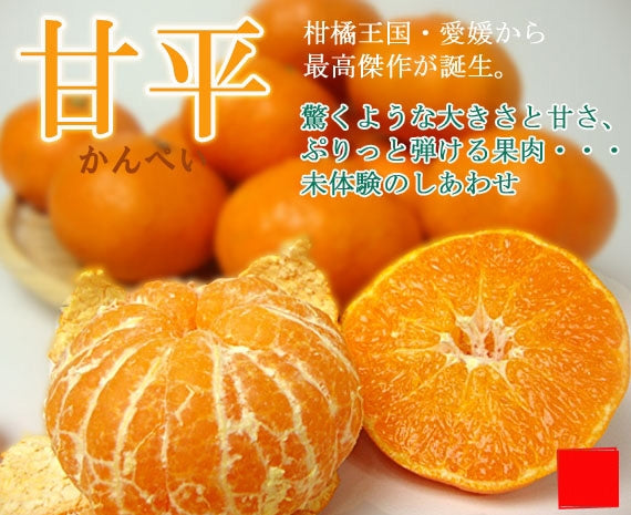【販売終了】薄皮・種なし・果肉はじけるうまさ!甘 平(かんぺい) (化粧箱入り)約3kg 4L~2Lサイズ(サイズ指定不可) 8玉~12玉