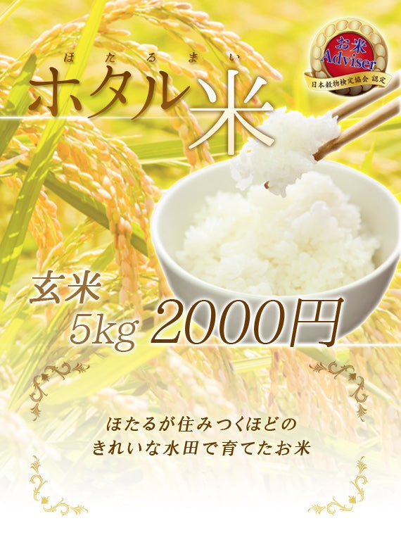 茨城産コシヒカリ　玄米　5キロ　【検査１等米玄米】　
