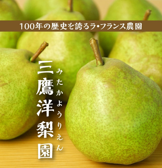 有袋栽培ラ・フランス 2Lサイズ2kg（6~7玉）化粧箱詰め☆発送は