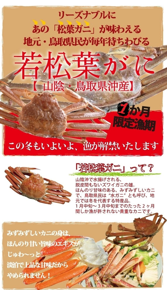 【生/茹で】 若松葉ガニ(水ガニ)たら福セット(3枚/6肩) 山陰・鳥取網代港より直送
