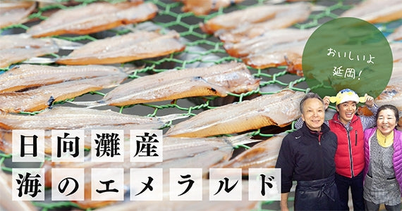 【極上のメヒカリにちりめん、うるめイワシを召し上がれ!】TOTOROセット≪(冷凍便※季節によって変更があり≫