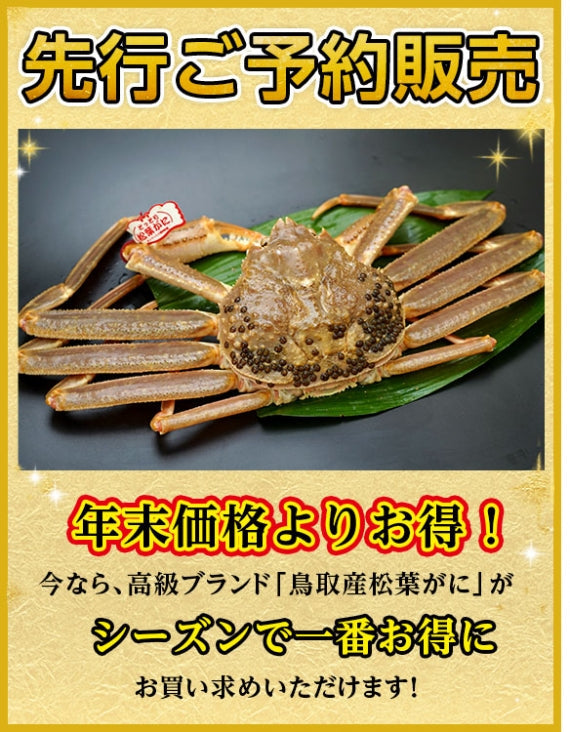 【先行ご予約販売】 【鳥取賀露港直送】 松葉がに(大中・生) 600g以上