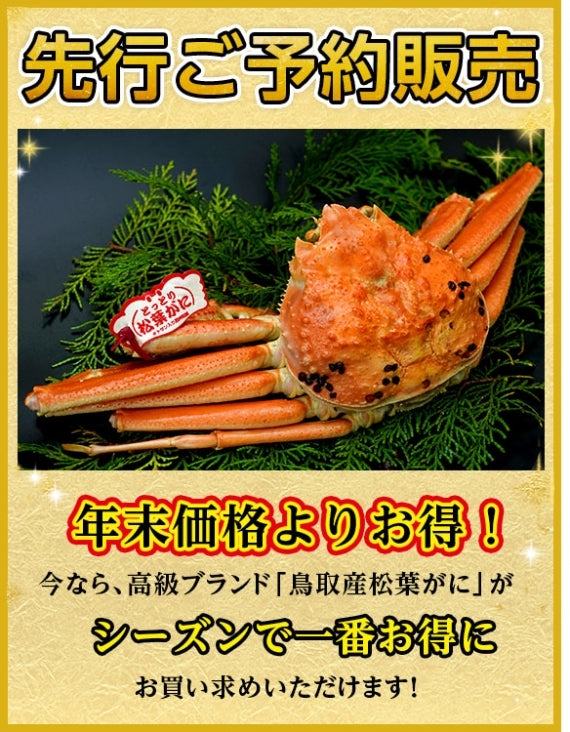 【先行ご予約販売】【鳥取賀露港直送】 松葉がに(特大・ボイル) 800g以上