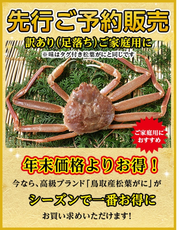 【先行ご予約販売】【鳥取賀露港直送】 松葉がに(オチ特大・生) 800g以上