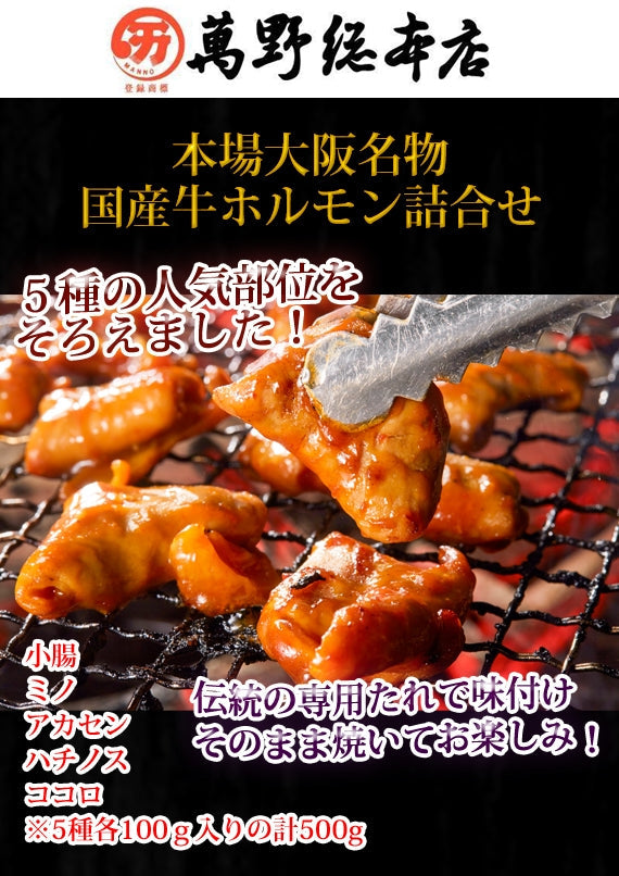【スタミナグルメ!】 国産牛ホルモン詰め合わせ5種セット(500g)全国一律送料無料