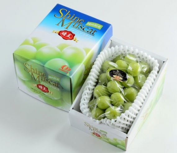 岡山県産 シャインマスカット【晴王】【特秀】1房(約1kg)JA全農おかやま