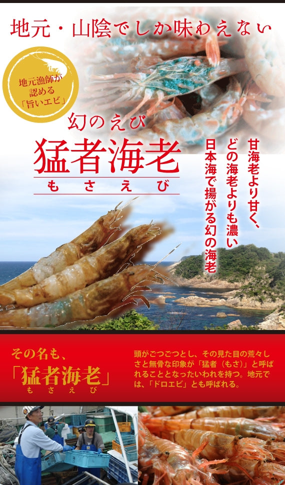 ≪幻の海老≫ 猛者海老（モサエビ）3パックセット【真空・冷凍パック