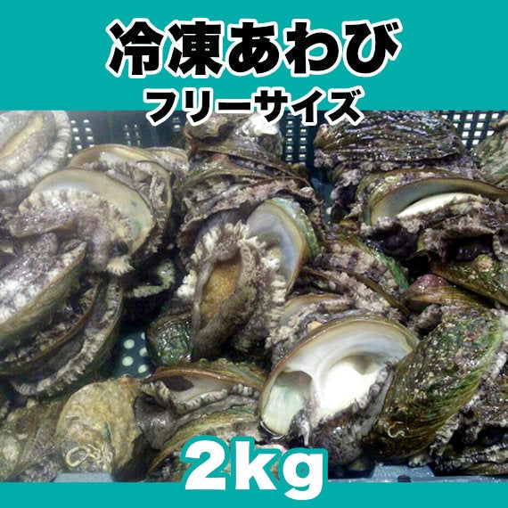 【アウトレット】あわびの醍醐味を手軽に楽しめる 冷凍あわび フリーサイズ 2kg