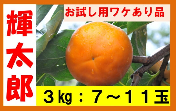 【令和7年分】【鳥取特産】輝太郎(きたろう)柿 ワケあり品3㎏(玉数指定不可)【送料無料】