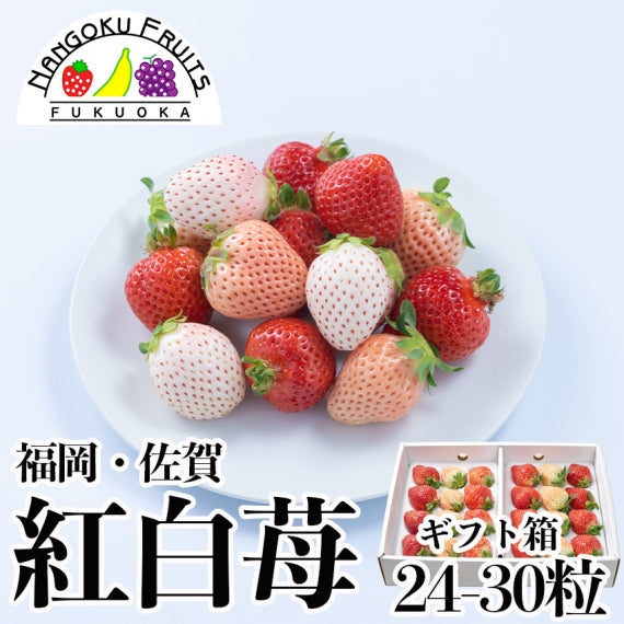 【予約販売】福岡・佐賀産 紅白いちご (あまおう×白いちご)【フルーツ】