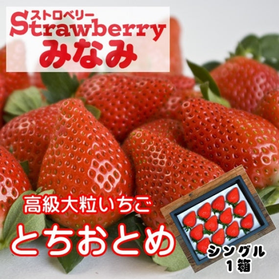 【予約受付中】とちおとめシングル(発送時期:2024年12月~)【送料込み】