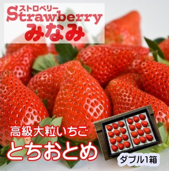 【予約受付中】とちおとめダブル(発送時期:2024年12月~)【送料込み】