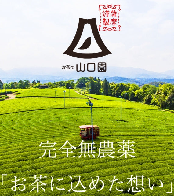 【Japanese Tea Selection Pari 受賞茶】有機薩摩銘茶 特選・極の2種セット。ギフト箱に入れてお届けします【数量限定】