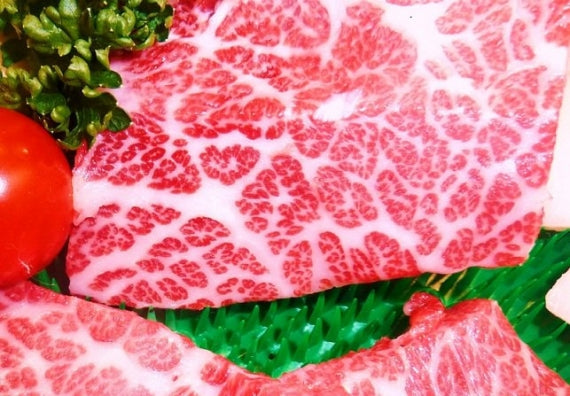 厳選馬刺し【極】