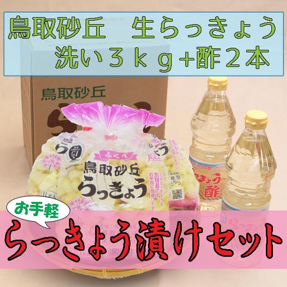 鳥取砂丘らっきょう 漬け込みセット【洗い】3kg