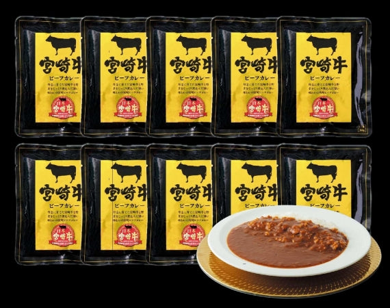 宮崎牛カレー10個セット