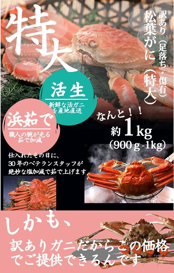 ★訳あり★ お得な松葉ガニ特大サイズ(900g-1㎏)【生/茹で】