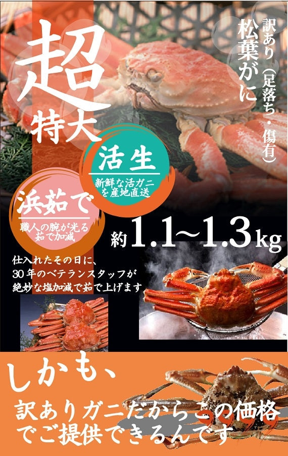 ★訳あり★ お得な松葉ガニ超特大サイズ(1.1㎏-1.3㎏)【生/茹で】
