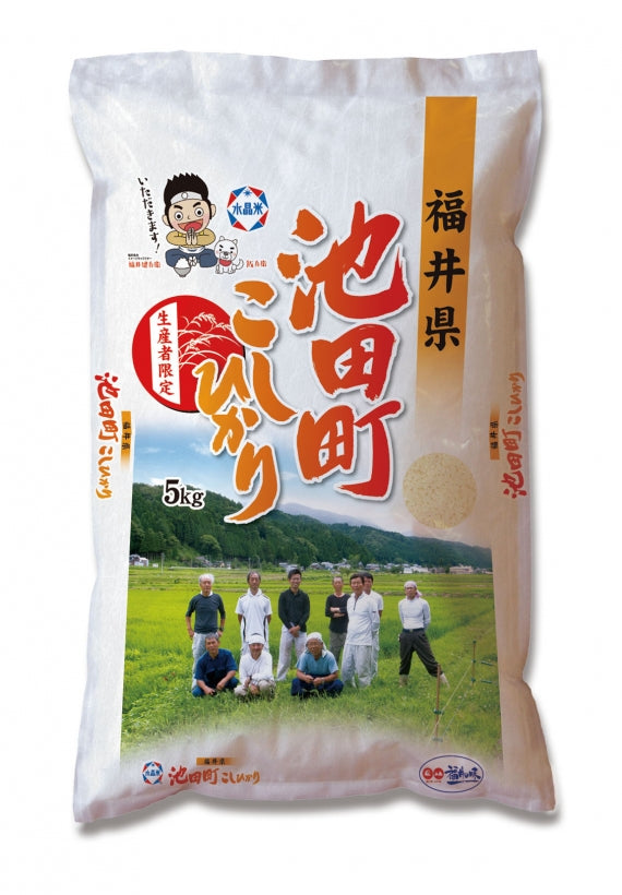 福井県産 令和5年産 池田町コシヒカリ 5㎏×2(送料無料)福井 米