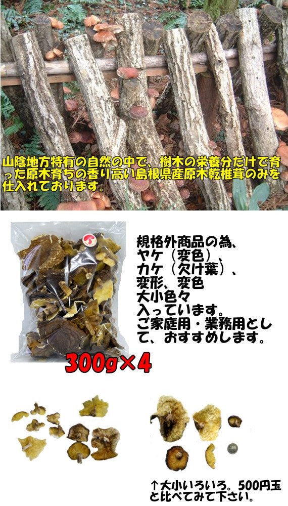 訳あり 島根県産原木乾椎茸バラエティー1.2㎏（300g×4）