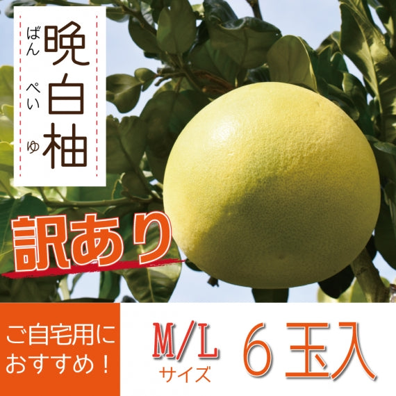 【訳あり】超お得!熊本特産品 "晩白柚" MLサイズ6玉=今シーズンの販売は終了しました=