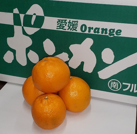 【販売終了】果肉プッチプチ!果汁たっぷり!!愛媛ポンカン 約9~10kg 2L~Lサイズ(サイズ指定不可)