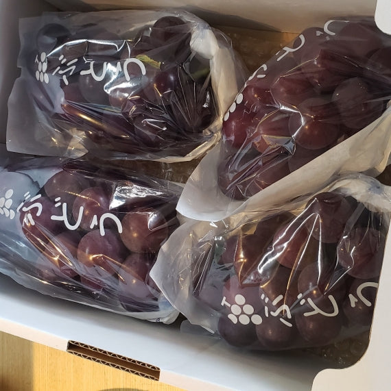 【販売終了】「岡山県又は、愛媛県産」黒ぶどうの王様「種なしニューピオーネ」 約2kg 4~6房