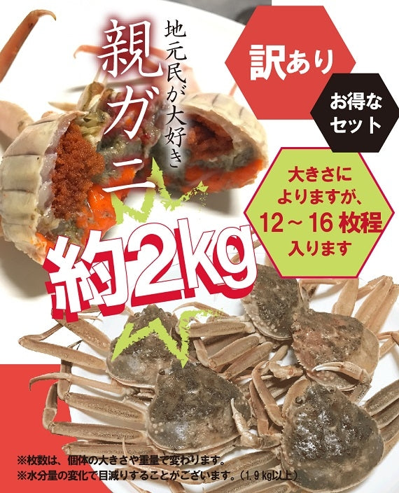 11/6カニ漁解禁】訳あり・親ガニ（セコガニ）2kg詰合せ【生