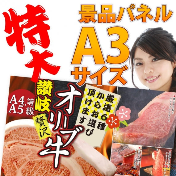 【超新作】 A3パネル 20000円ポッキリ 特選黒毛和牛目録 お歳暮 目録 ギフト カタログギフト