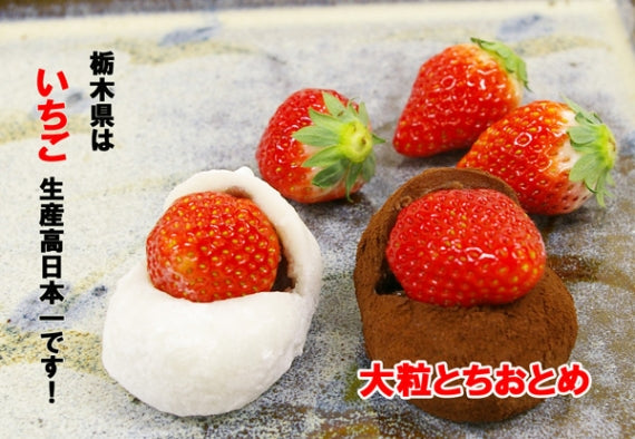 栃木県発！】とちあいかいちご大福 白大福3個 ショコラ大福3個