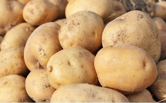 北あかりじゃがいも10kg