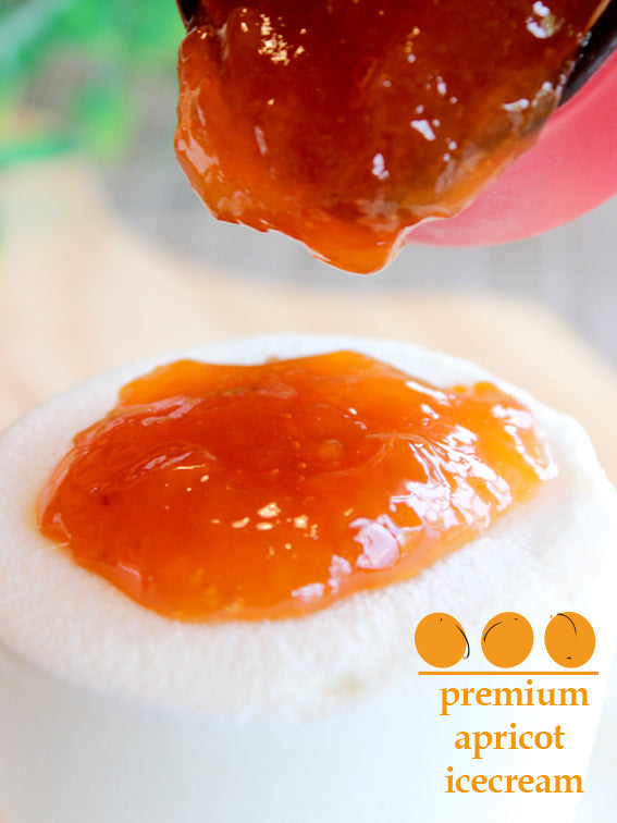 新発売★【47クラブ限定5箱】生杏ジャム2倍の濃厚プレミアム杏アイス(生杏ジャムハーコット使用) 6個セット【送料込み】