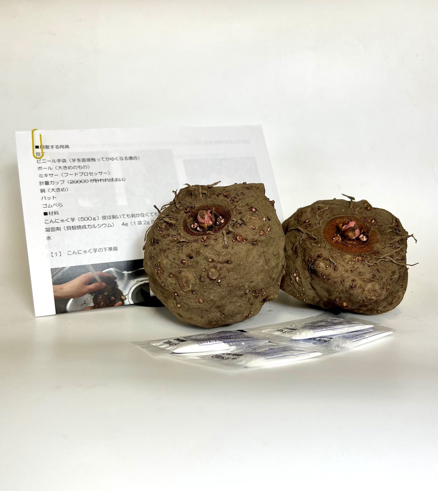 【2025年度産こんにゃく生芋入荷開始!!】群馬県産こんにゃく芋を下仁田よりお届け【こんにゃく芋1㎏】