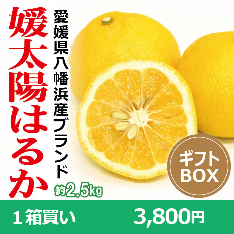 みかん王国愛媛のはるか約20ＫgS～3Ｌ 柑橘ジュースセットB【3本】（温州みかん・はるか・せとか